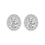 Halo Oval 4.6 cttw Lab grown diamond studs