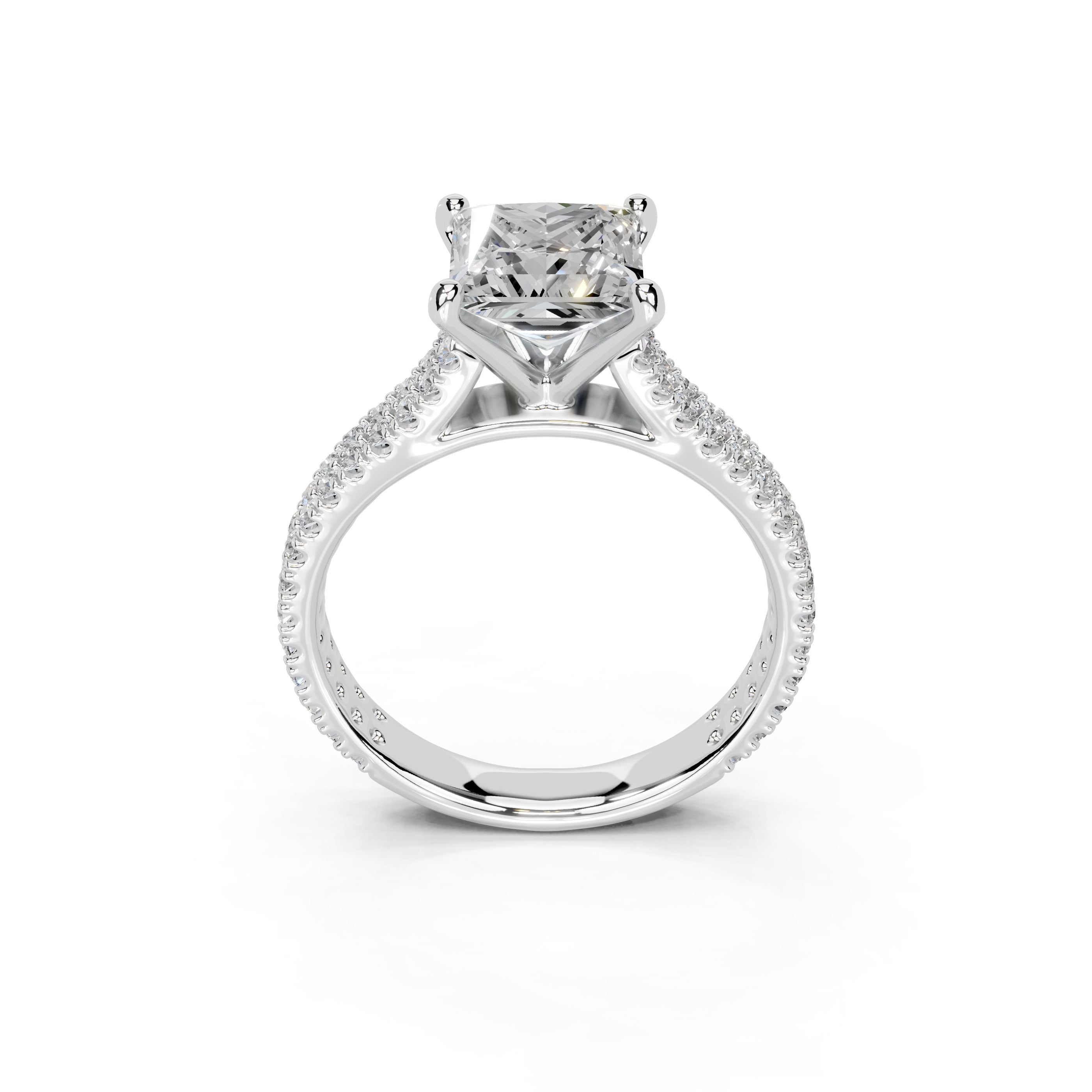 Princess Cut Double Pave Lab Grown Diamond Engagement Ring